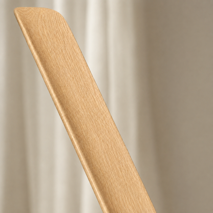 Long-Handle Magnetic Shoehorn